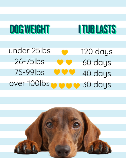Funky Dawg Gut Health Chews 🐶