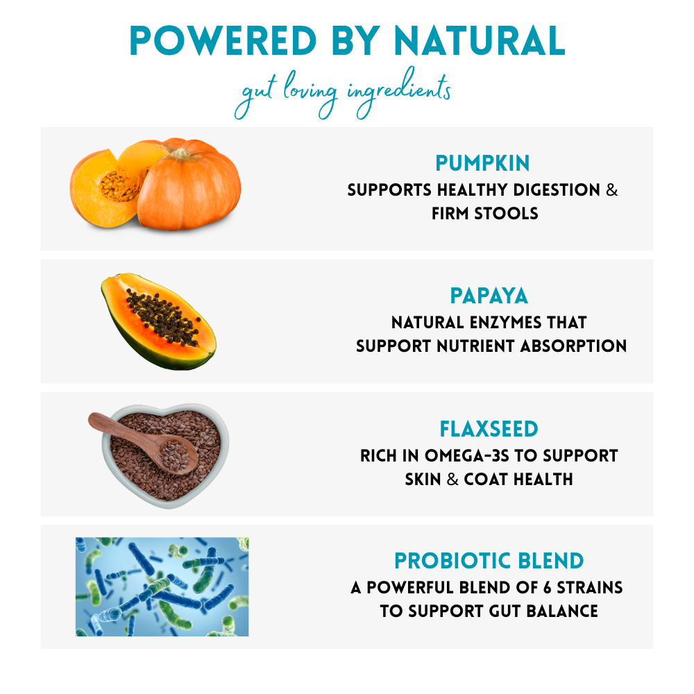 Product label with natural ingredients like pumpkin, papaya, flaxseed, and probiotic blend on a white background.