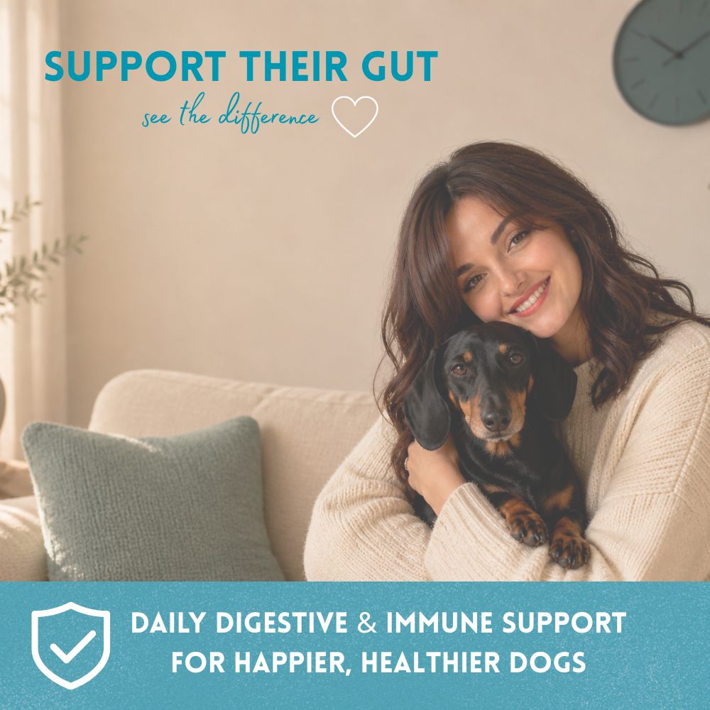 Woman holding a dog with promotional text about digestive and immune support for dogs.