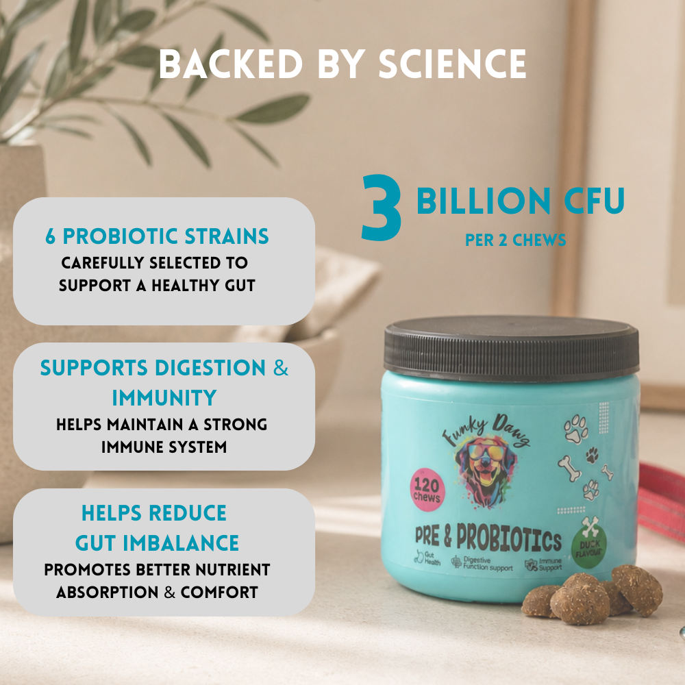 Teal container of dog probiotics with text highlighting benefits on a light background